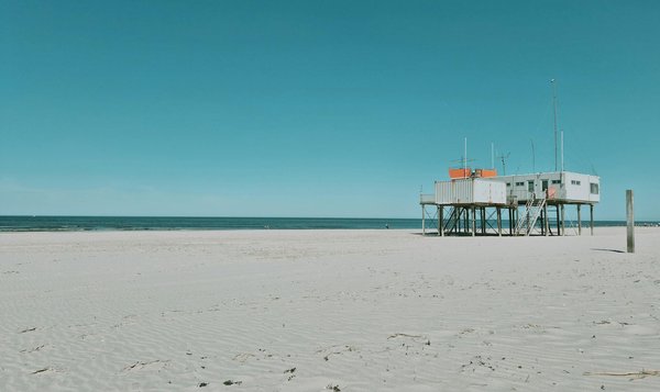 Jesta : votre guide essentiel pour voyager au japon en 2028