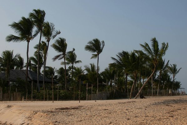 Tous les tarifs du parc du puy du fou : Les billets parc et cinéscénie